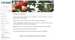 Desktop Screenshot of gurisatti.hu